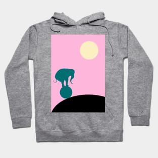 Elephant balancing on a ball by night Hoodie